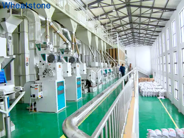 3月16日(3) 3月16日(3)