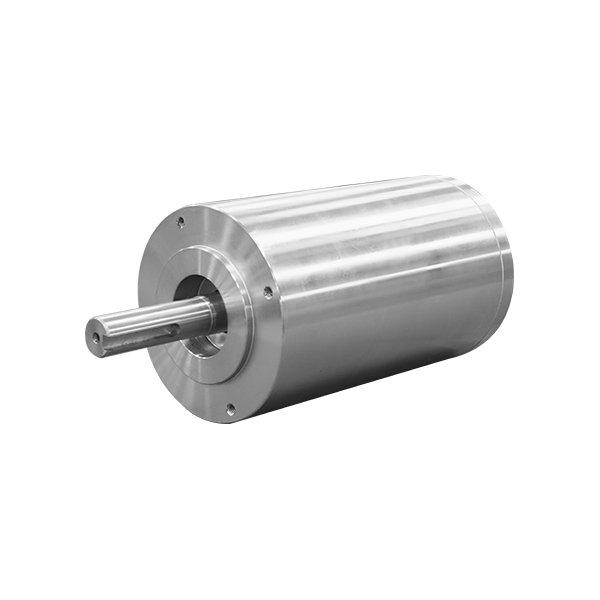 Custom Radiation-Resistant Motor