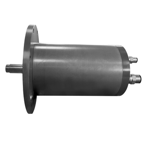 Deep-Water Motor - Submerged 3000 Meter