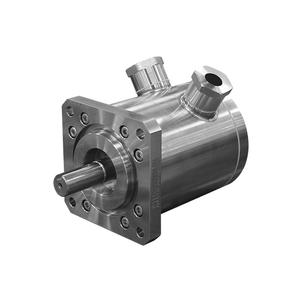 Deep-water Radiation-Resistant Motor