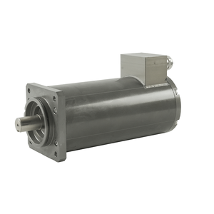 Deep-Water Motor - Submerged 10 Meter