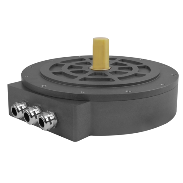 Axial Flux Motor