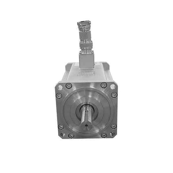 Vacuum Servo Motor