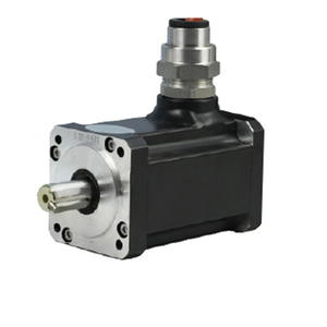 60 Series Explosion-proof Permanent Magnet Motor