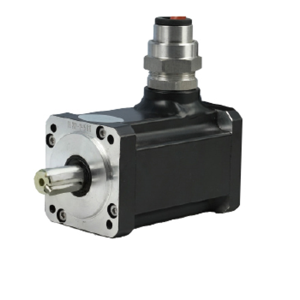 60 Series Explosion-proof Permanent Magnet Motor