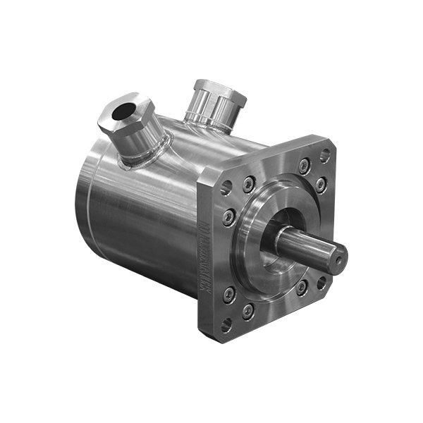 Deep-water Radiation-Resistant Motor