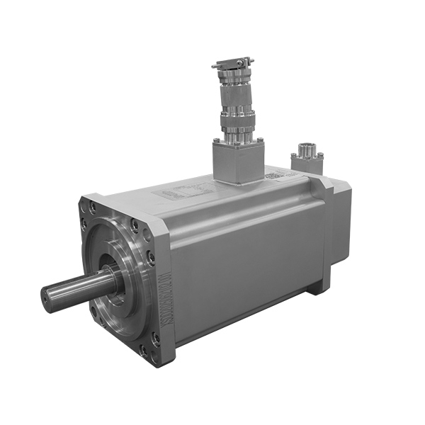 Vacuum Servo Motor