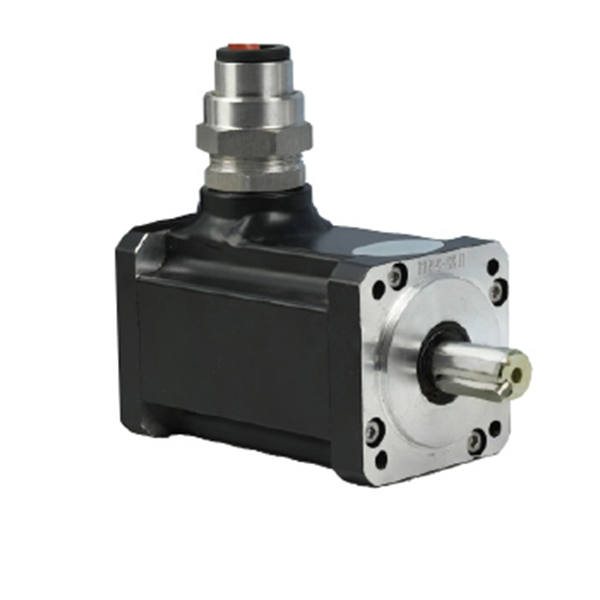 60 Series Explosion-proof Permanent Magnet Motor