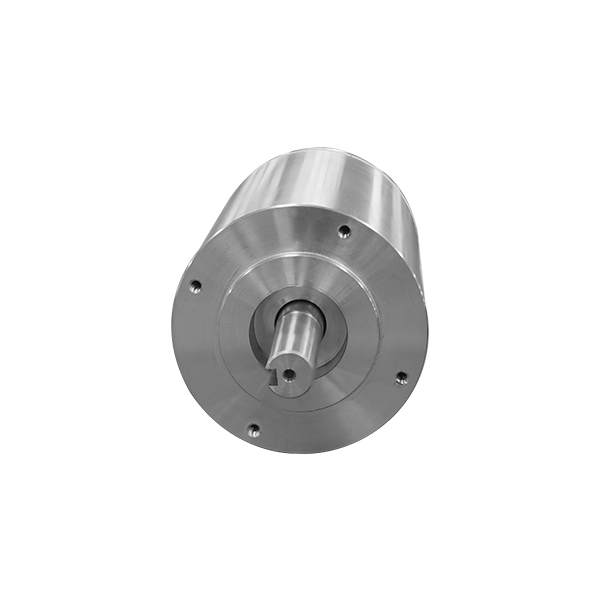 Custom Radiation-Resistant Motor