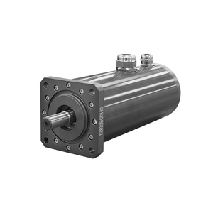 Deep-Water Motor - Submerged 50 Meter