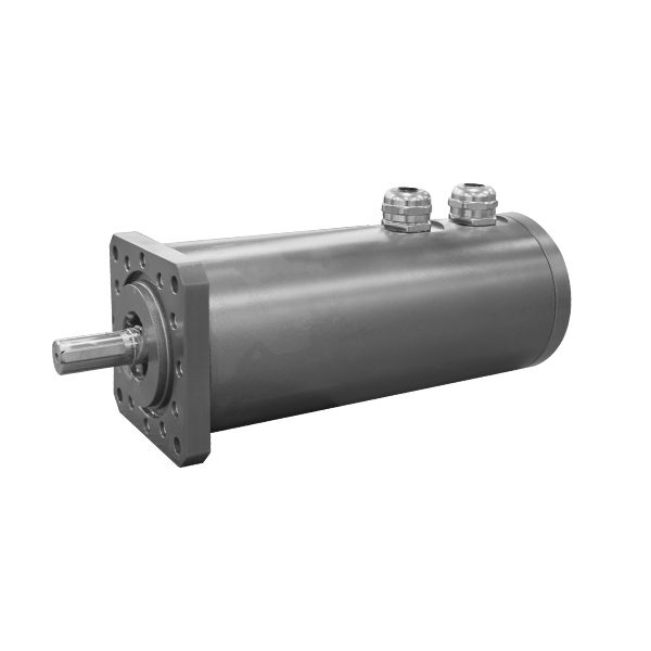 Deep-Water Motor - Submerged 1 Meter