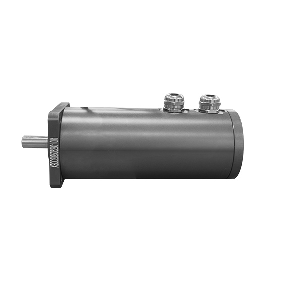 Deep-Water Motor - Submerged 1 Meter