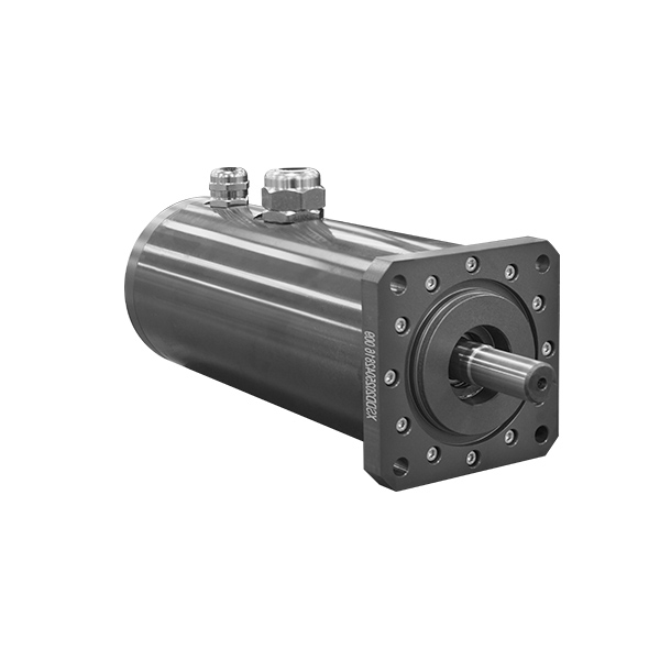 Deep-Water Motor - Submerged 50 Meter
