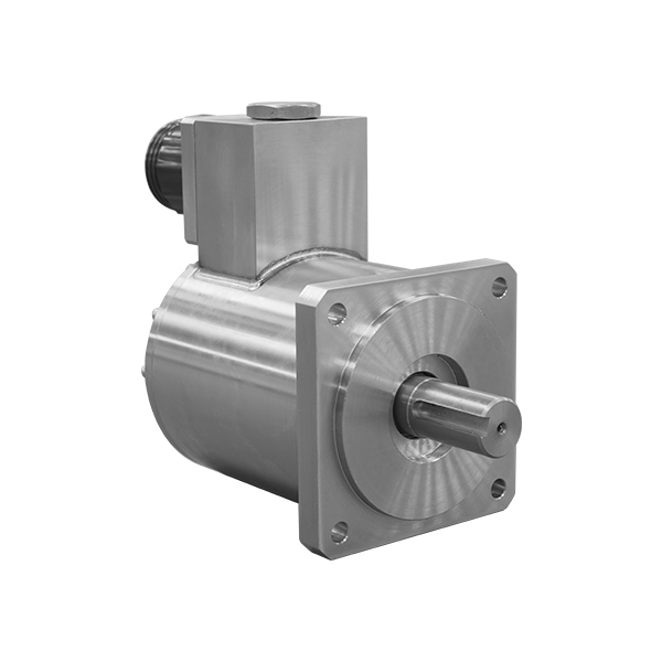 Deep-Water Motor - Submerged 450 Meter