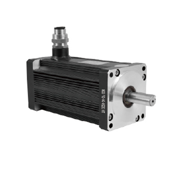 110 Series Explosion-proof Permanent Magnet Motor