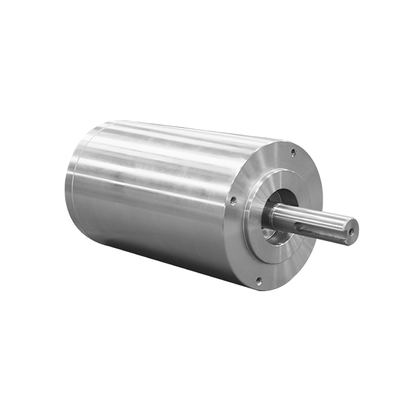 Custom Radiation-Resistant Motor