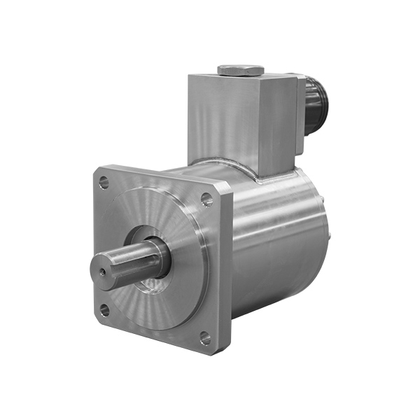Deep-Water Motor - Submerged 450 Meter