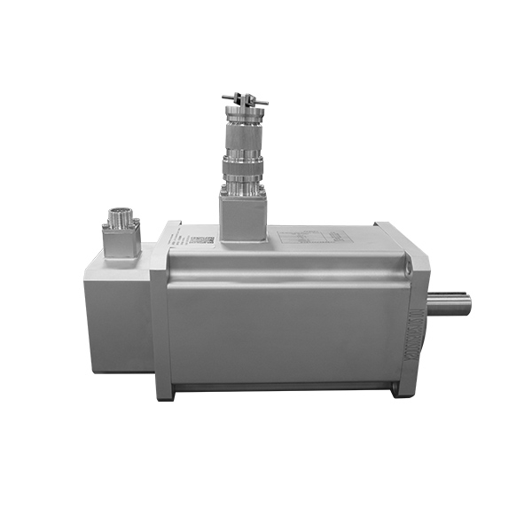 Vacuum Servo Motor