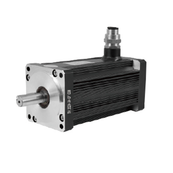 110 Series Explosion-proof Permanent Magnet Motor