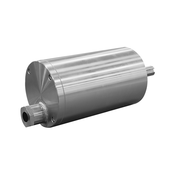 Custom Radiation-Resistant Motor
