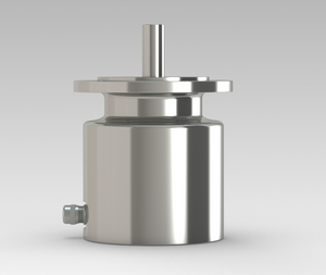 100 Frame Food Grade Motor