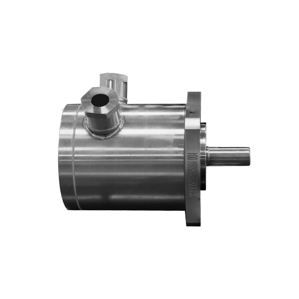 Deep-water Radiation-Resistant Motor
