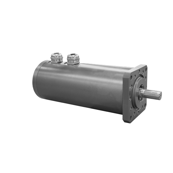 Deep-Water Motor - Submerged 1 Meter