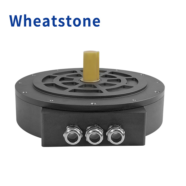 260 Series Axial Flux Motor