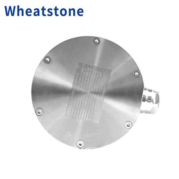 Wheatstone 100 Base Food-Grade Permanent Magnet Motors