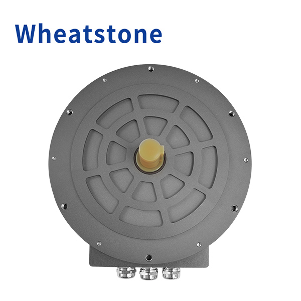 260 Series Axial Flux Motor