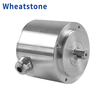 Wheatstone 100 Base Food-Grade Permanent Magnet Motors