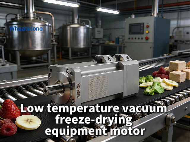  LowTemperature Vacuum Motors for FreezeDryers: How Wheatstone‘s -80&deg;C Cold Resistance and 10⁻⁷ Pa Low Outgassing Protect Vaccine & Biologic Activit