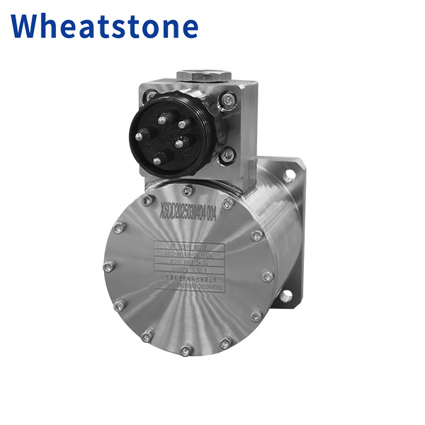 UnderWater Motor - Submerged 450 Meter