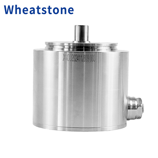 Wheatstone 100 Base Food-Grade Permanent Magnet Motors