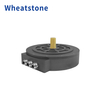 260 Series Axial Flux Motor