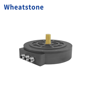 260 Series Axial Flux Motor