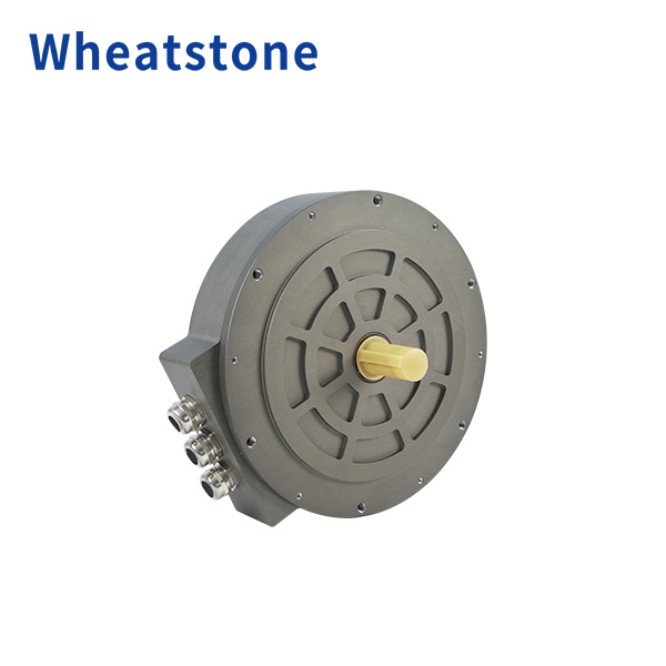 260 Series Axial Flux Motor